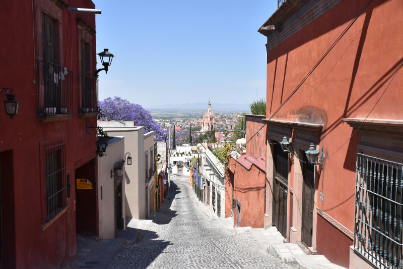  Miguel de Allende street with red houses